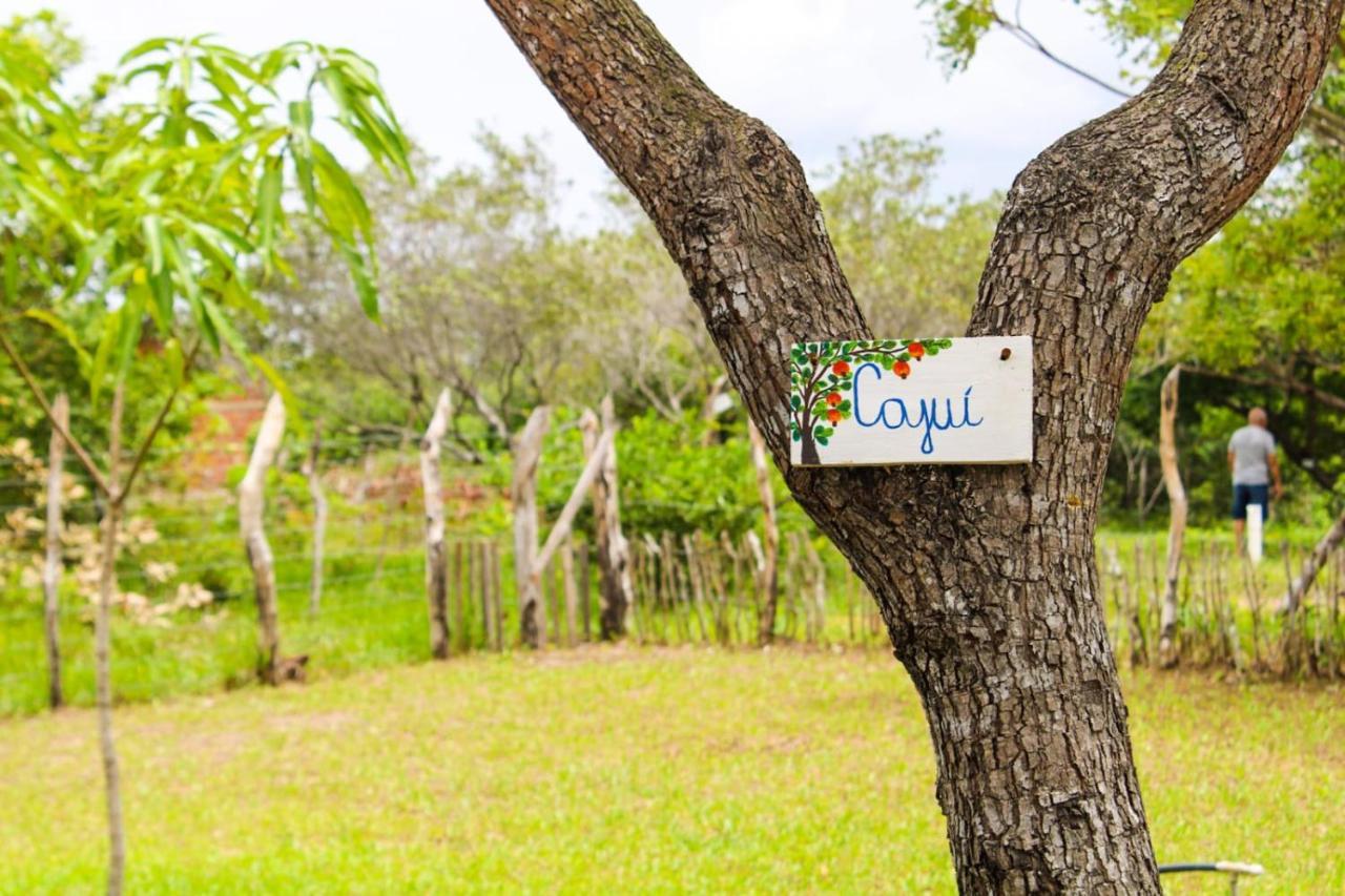 Villa Chale A 4Km Do Centro Com Wi-Fi à Balaclava Extérieur photo